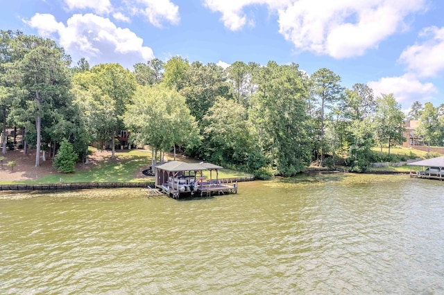 74 Poplar Ct, Sparta, GA 31087 - photo 60
