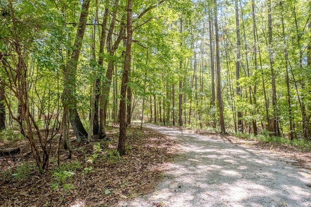 74 Poplar Ct, Sparta, GA 31087 - photo 72