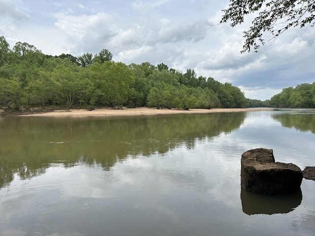 property view of water with a forest view