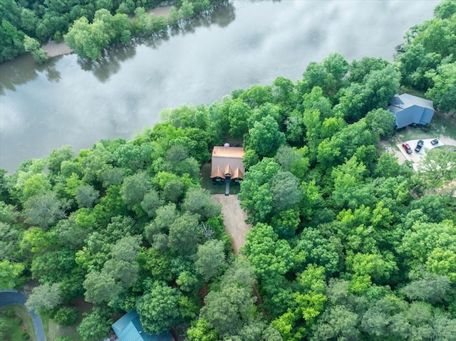 bird's eye view with a water view and a forest view