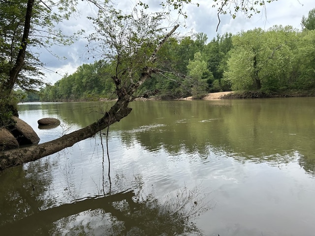 property view of water with a forest view