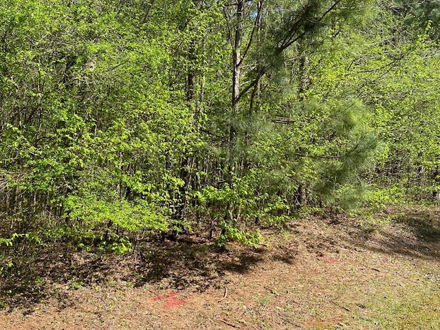 LOTC25 Peach Orchard Rd, Ivey GA, 31031 land for sale