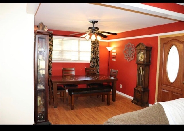 dining room featuring ceiling fan and hardwood / wood-style floors