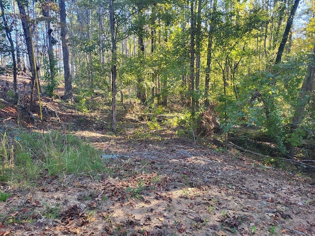 Listing photo 2 for LOT393 Water Oak Ct, Sparta GA 31087