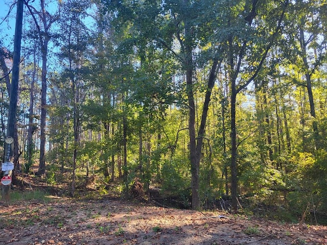 LOT393 Water Oak Ct, Sparta GA, 31087 land for sale