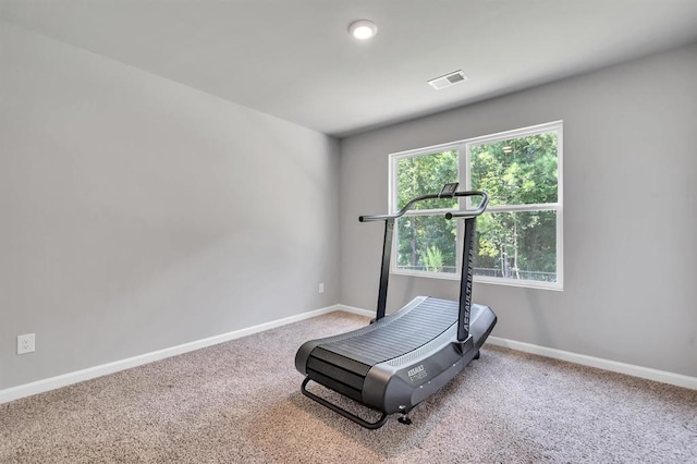 exercise area with carpet floors