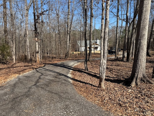 view of road featuring aphalt driveway