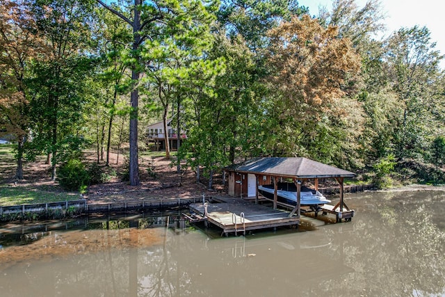 dock area with a water view