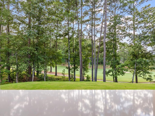 1070 Shadow Crk, Greensboro, GA 30642 - photo 21