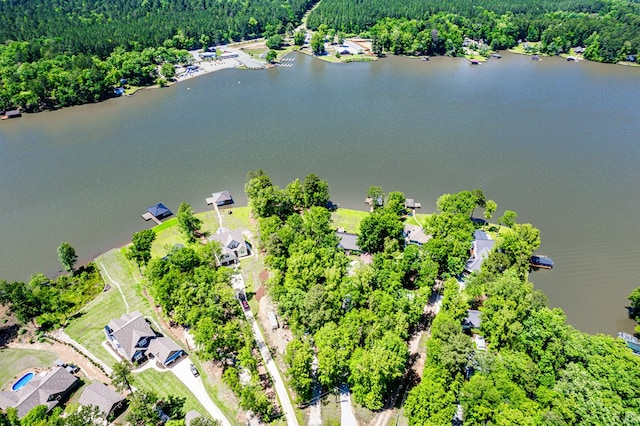 aerial perspective of suburban area with a nearby body of water and a forest