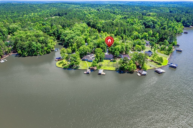 aerial view of a forest and a large body of water