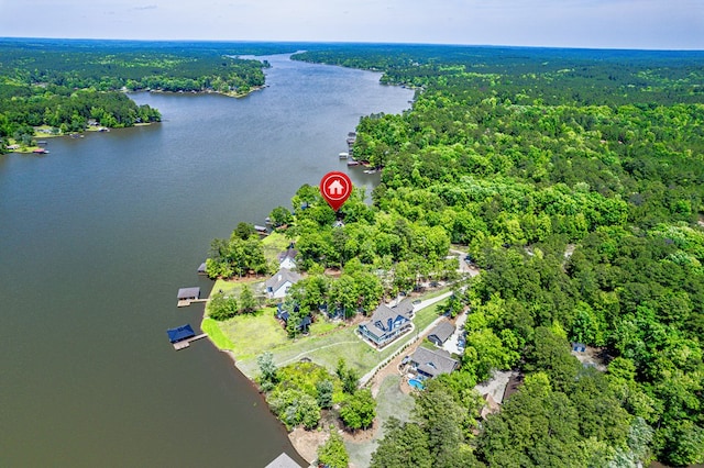 drone / aerial view of a forest and a large body of water