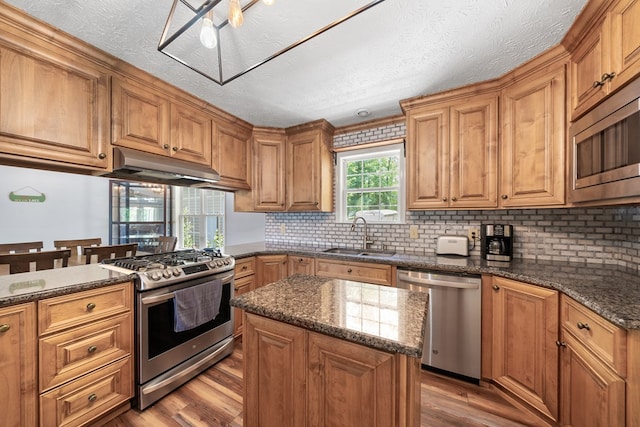 kitchen with stainless steel appliances, a sink, under cabinet range hood, dark wood-style floors, and dark stone countertops