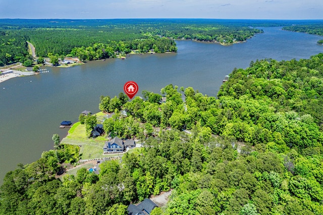 aerial overview of property's location featuring a forest and a large body of water