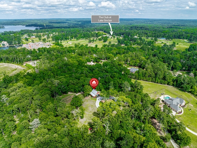 2163 N Jefferson St, Milledgeville, GA 31061 - aerial view of property's location with a forest and a nearby body of water