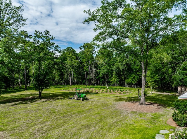 2163 N Jefferson St, Milledgeville, GA 31061 - view of grassy yard featuring a forest view