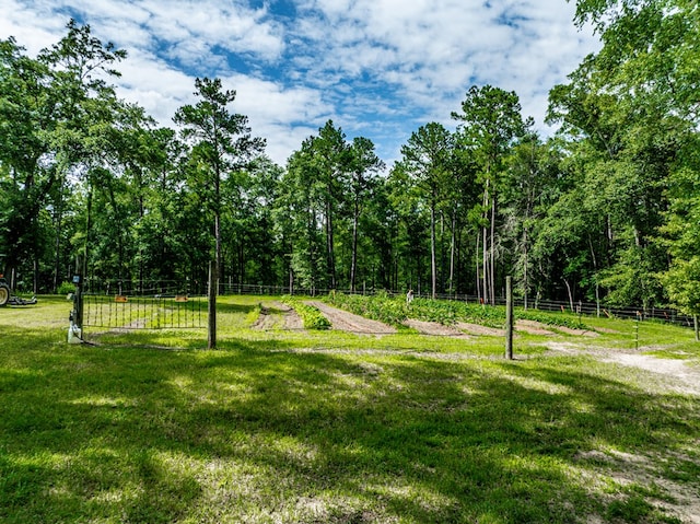 2163 N Jefferson St, Milledgeville, GA 31061 - view of yard
