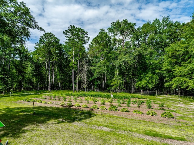 2163 N Jefferson St, Milledgeville, GA 31061 - view of yard