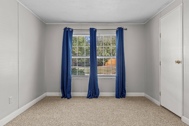 carpeted spare room with a textured ceiling and ornamental molding