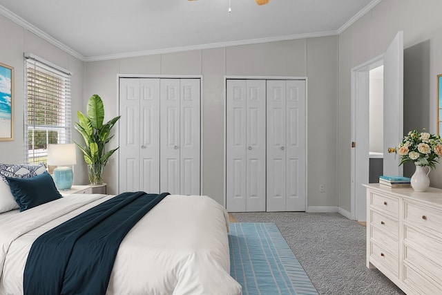 carpeted bedroom with multiple closets and crown molding