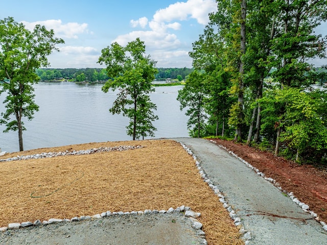631 Susan Davis Rd, Sparta, GA 31087 - photo 48
