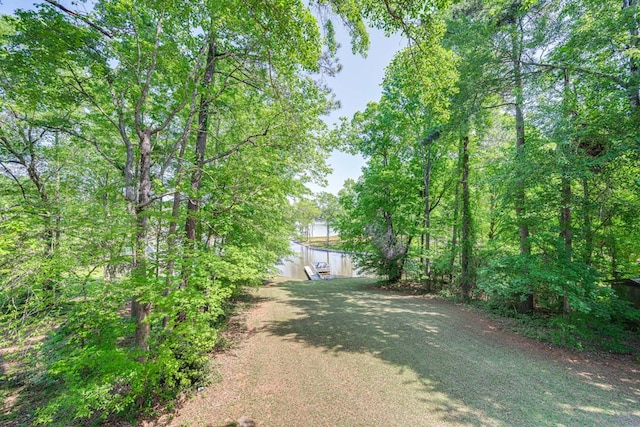 154 Old Plantation Trl, Milledgeville, GA 31061 - view of dirt / gravel driveway