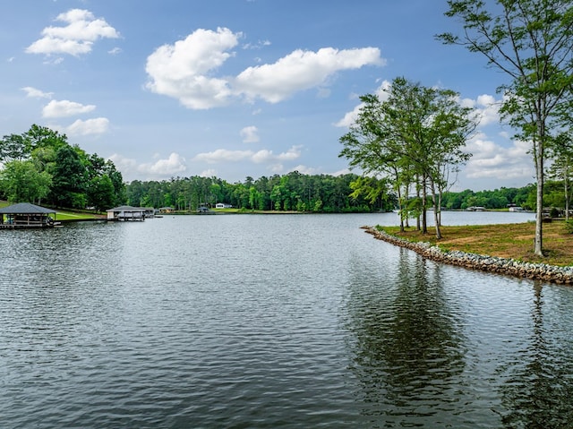 154 Old Plantation Trl, Milledgeville, GA 31061 - water view