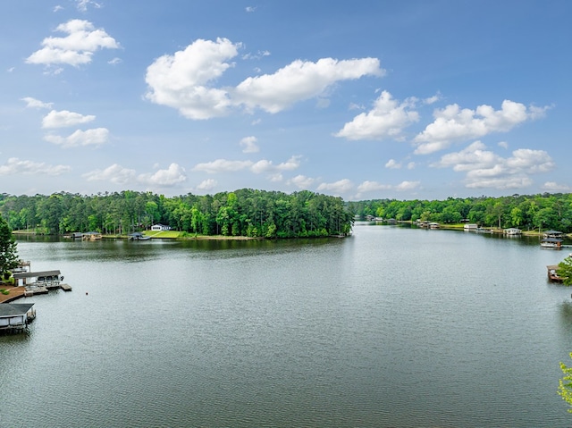 154 Old Plantation Trl, Milledgeville, GA 31061 - water view with a forest