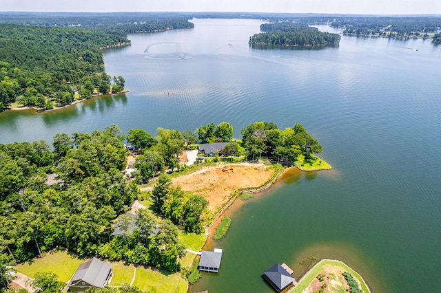 123 Emerald Way, Sparta, GA 31087 - photo 5