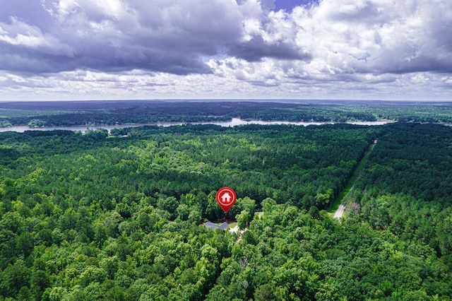 411 Rockville Rd, Eatonton, GA 31024 - bird's eye view of a forest