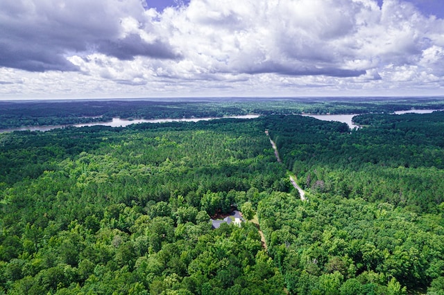 411 Rockville Rd, Eatonton, GA 31024 - drone / aerial view of a forest