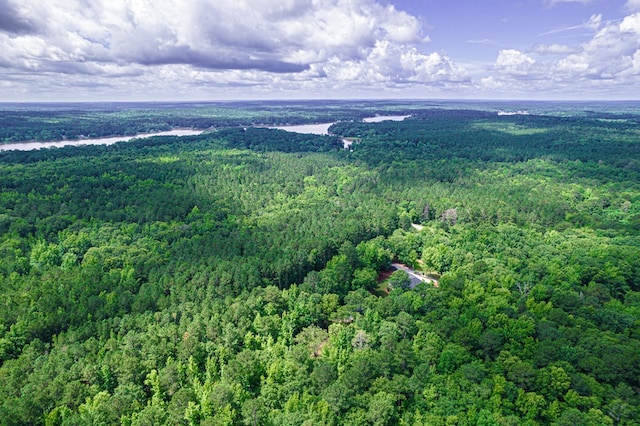 411 Rockville Rd, Eatonton, GA 31024 - aerial view of property's location with a forest
