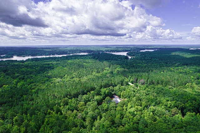 411 Rockville Rd, Eatonton, GA 31024 - drone / aerial view of a forest