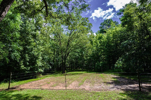 411 Rockville Rd, Eatonton, GA 31024 - view of yard with a forest view