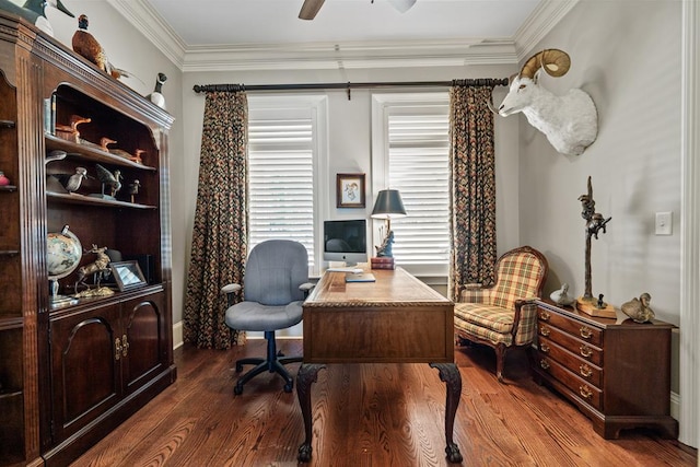 office space with ceiling fan, dark hardwood / wood-style flooring, and ornamental molding