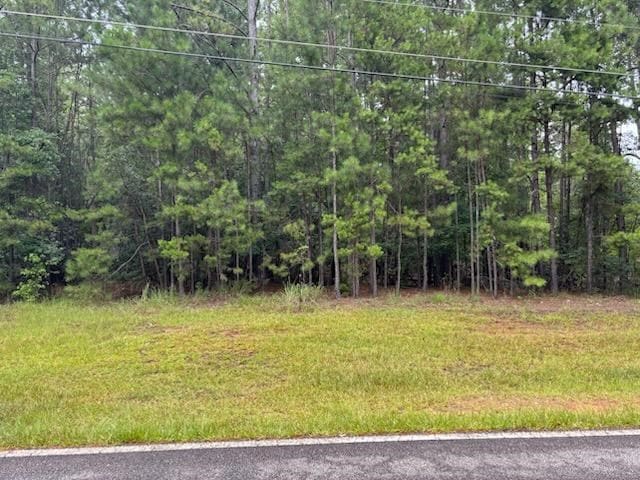 LOT11 Forest Hill Dr, Eatonton, GA 31024 - photo 4