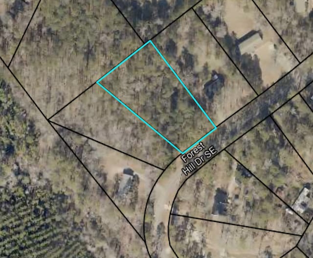 LOT11 Forest Hill Dr, Eatonton, GA 31024 - photo 6
