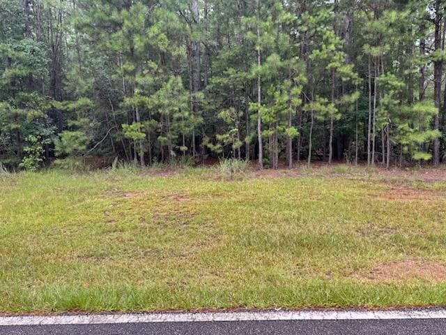 LOT11 Forest Hill Dr, Eatonton, GA 31024 - photo 2