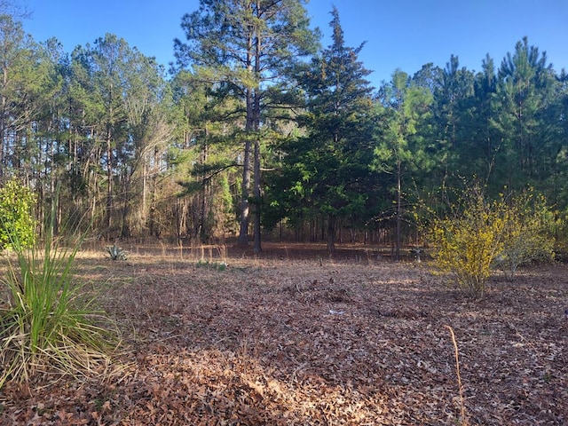 250 Dixon Trl, Sparta GA, 31087 land for sale