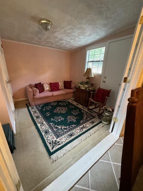 living room with a textured ceiling