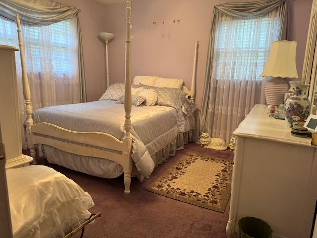 bedroom featuring carpet flooring and multiple windows