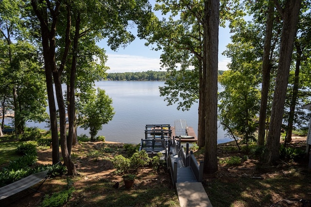 dock area with a water view