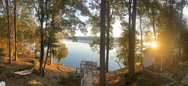 dock area with a water view