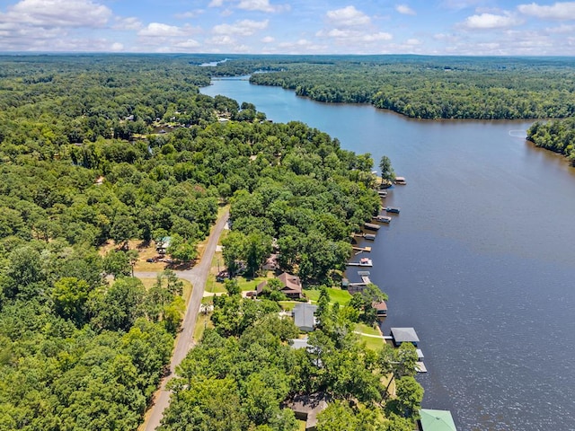 126A N Little River Run, Eatonton, GA 31024 - drone / aerial view of a forest and a large body of water