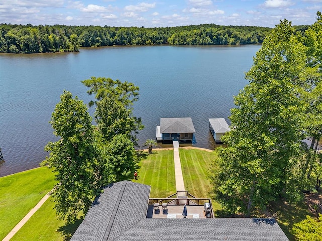 126A N Little River Run, Eatonton, GA 31024 - aerial view of a large body of water and a forest