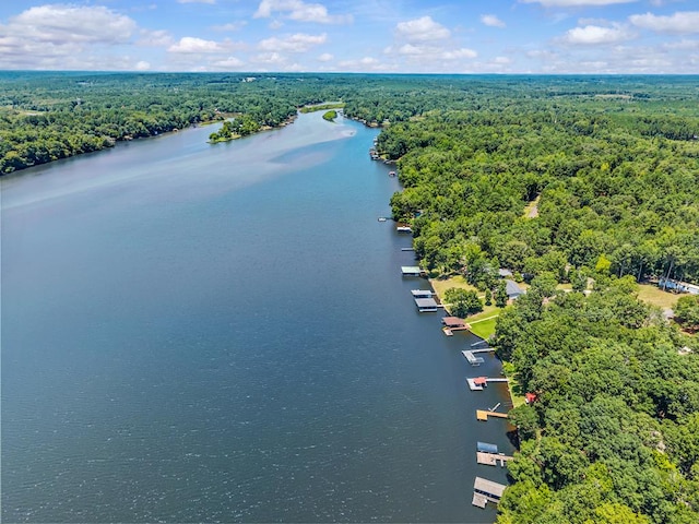 126A N Little River Run, Eatonton, GA 31024 - bird's eye view of a nearby body of water