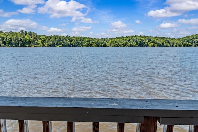 126A N Little River Run, Eatonton, GA 31024 - water view with a forest