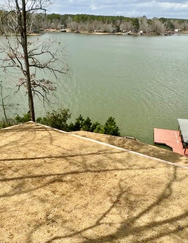 240 Shagbark Ln, Sparta, GA 31087 - property view of water featuring a dock