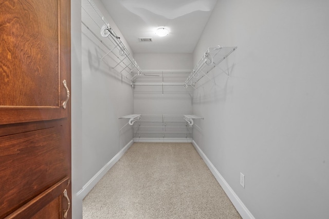 spacious closet with light carpet