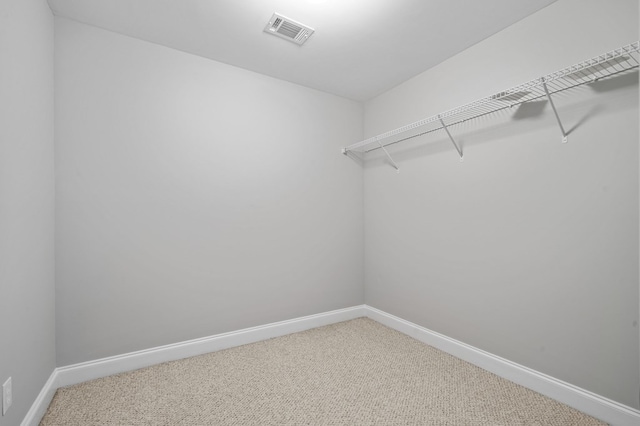 spacious closet featuring carpet floors